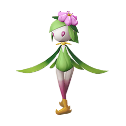 ヒスイドレディア