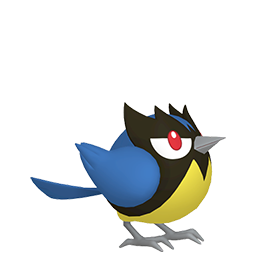 ココガラ