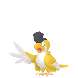 イキリンコ（イエローフェザー）